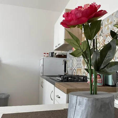 Studio Josipa Apartment *
